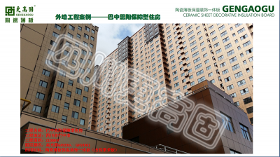 巴中恩陽保障型住房