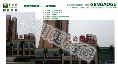 龍灣國際